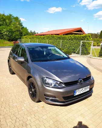 wielkopolskie Volkswagen Golf cena 41500 przebieg: 127000, rok produkcji 2015 z Turek